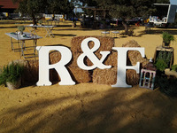 LETRAS